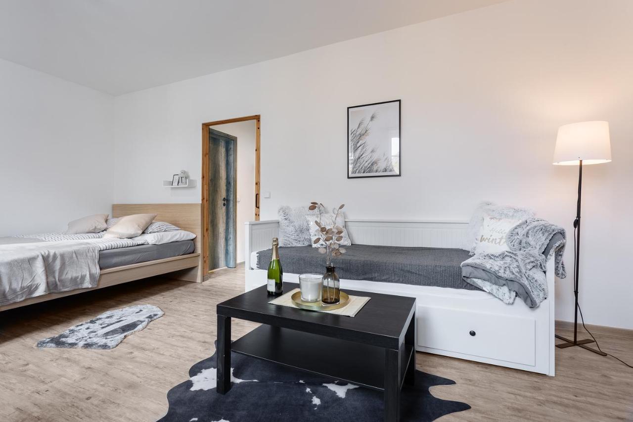 Vlevo Dole Koko Apartment By Sprava Ubytka Rokytnice nad Jizerou Ngoại thất bức ảnh